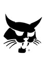 Bobcat
