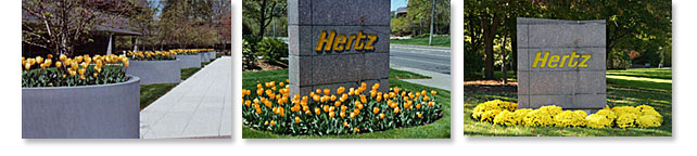 Landscape Design and Installation Project