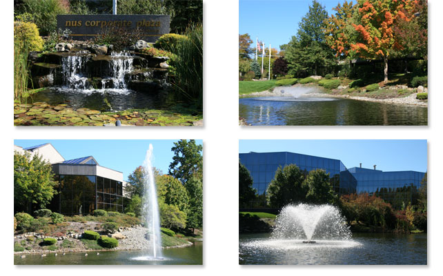 Maintaining Fountains and Retention Ponds