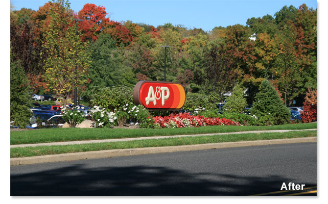 Landscape Design and Installation Project