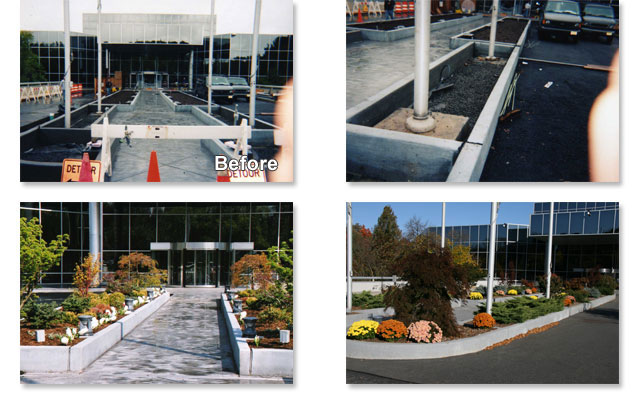 Landscape Design and Installation Project