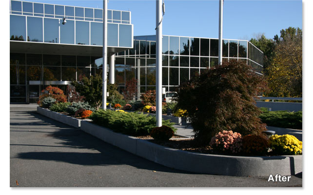 Landscape Design and Installation Project