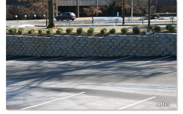 Pavers and Walls