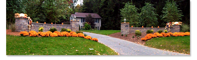 Pavers and Walls